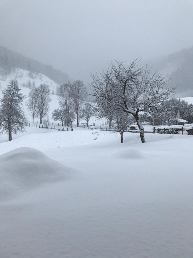 Bio Schartenhof St. Johann im Pongau Exterior foto