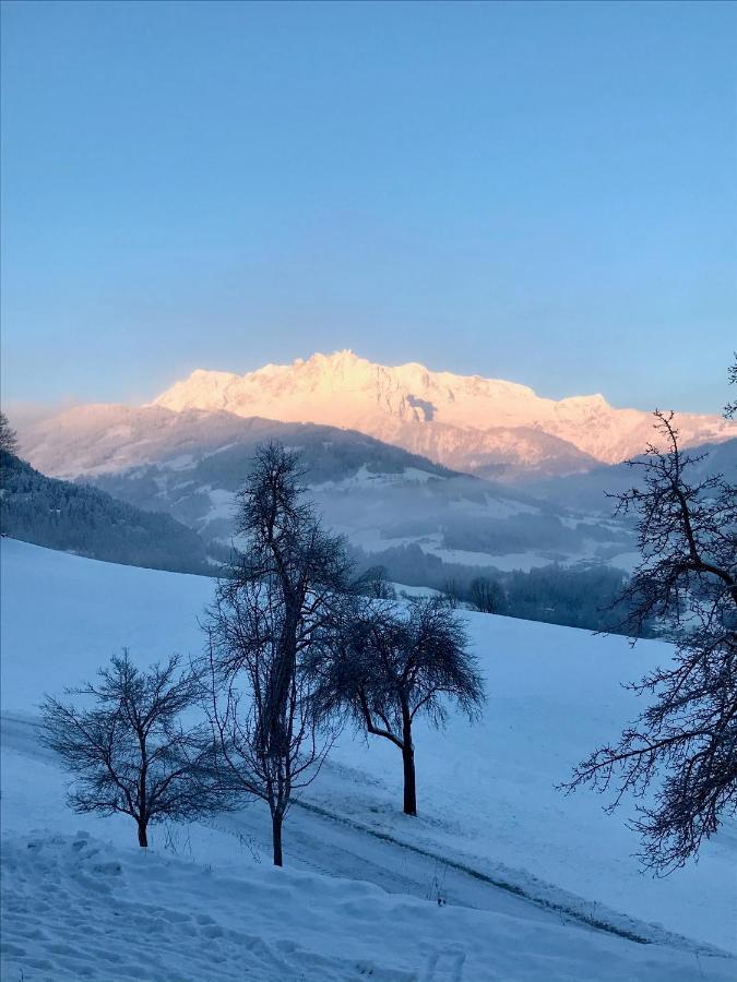 Bio Schartenhof St. Johann im Pongau Exterior foto